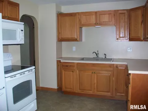 345 Iris Ct, Canton, IL 61520 photo 12