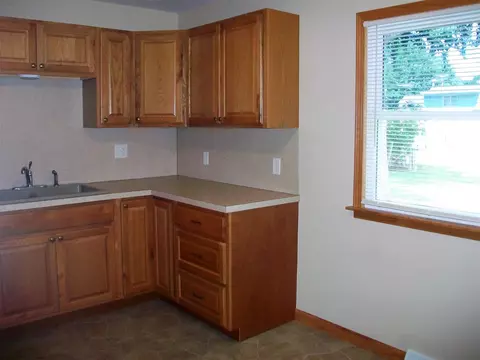 345 Iris Ct, Canton, IL 61520 photo 15