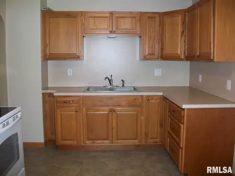 345 Iris Ct, Canton, IL 61520 photo 13
