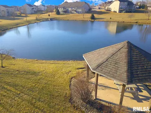 2010 W Liams Way, Dunlap, IL 61525 photo 5
