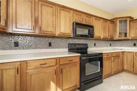 2010 W Liams Way, Dunlap, IL 61525 photo 12