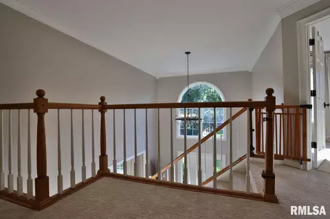 11615 N Strathmoore Ct, Dunlap, IL 61525 photo 15
