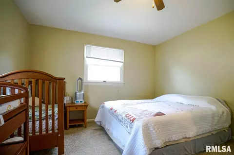 204 Circle Dr, Morton, IL 61550 photo 23