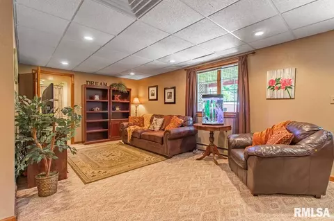 2007 E Bishop Ave, Peoria, IL 61614 photo 26