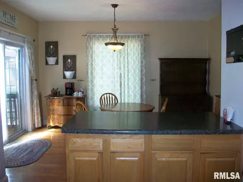 102 E Vine St, Canton, IL 61520 photo 10