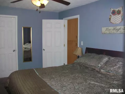 102 E Vine St, Canton, IL 61520 photo 22