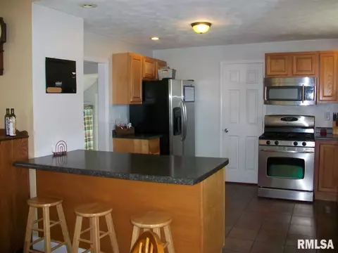 102 E Vine St, Canton, IL 61520 photo 8