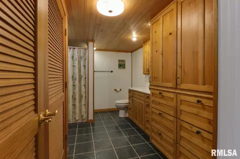 21185 Tullamore Rd, Delavan, IL 61734 photo 14