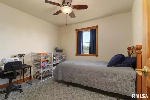 21185 Tullamore Rd, Delavan, IL 61734 photo 23