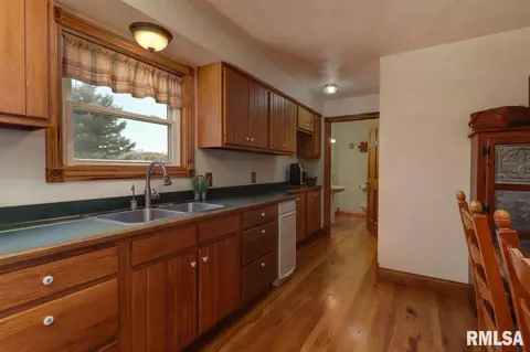 21185 Tullamore Rd, Delavan, IL 61734 photo 9