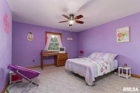 21185 Tullamore Rd, Delavan, IL 61734 photo 25