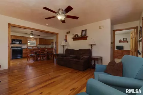 21185 Tullamore Rd, Delavan, IL 61734 photo 6