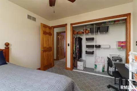 21185 Tullamore Rd, Delavan, IL 61734 photo 24