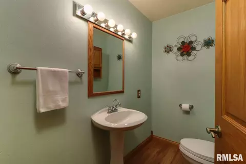 21185 Tullamore Rd, Delavan, IL 61734 photo 29