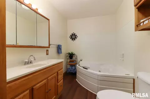21185 Tullamore Rd, Delavan, IL 61734 photo 18