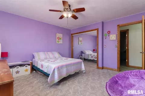21185 Tullamore Rd, Delavan, IL 61734 photo 26
