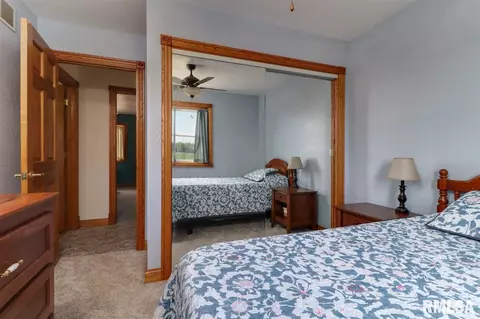 21185 Tullamore Rd, Delavan, IL 61734 photo 22