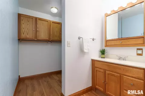21185 Tullamore Rd, Delavan, IL 61734 photo 28