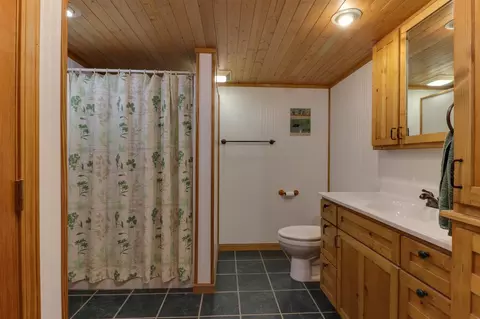 21185 Tullamore Rd, Delavan, IL 61734 photo 27