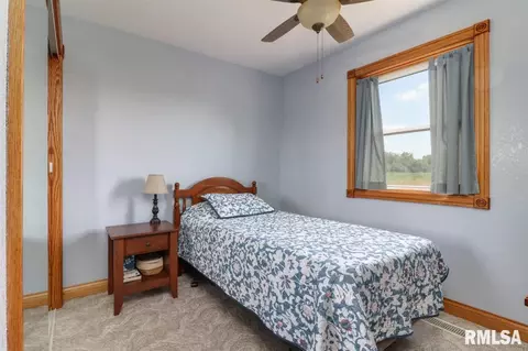 21185 Tullamore Rd, Delavan, IL 61734 photo 21