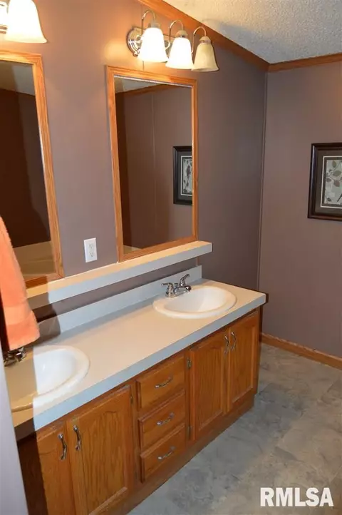 104 E Sherman St, Industry, IL 61440 photo 15