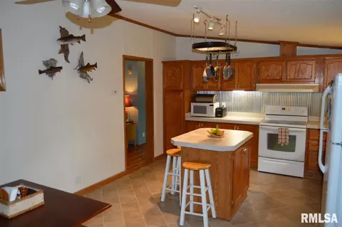 104 E Sherman St, Industry, IL 61440 photo 7