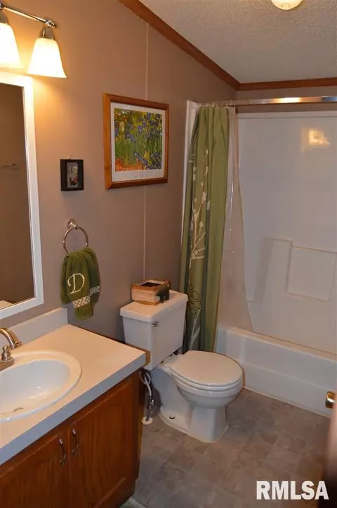 104 E Sherman St, Industry, IL 61440 photo 16