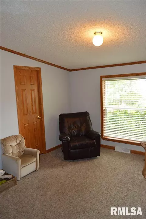 104 E Sherman St, Industry, IL 61440 photo 20
