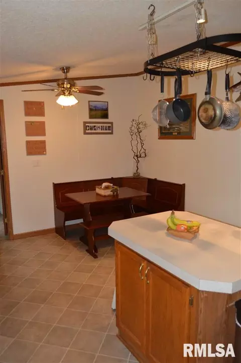 104 E Sherman St, Industry, IL 61440 photo 8