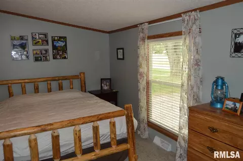 104 E Sherman St, Industry, IL 61440 photo 13
