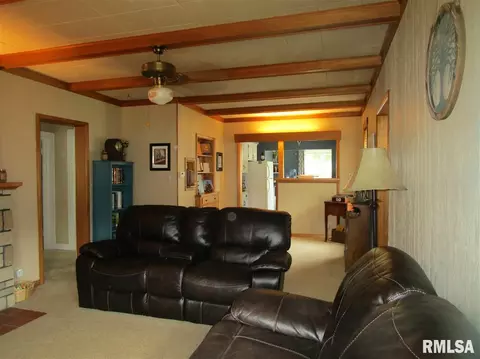 307 E Vine St, Canton, IL 61520 photo 6
