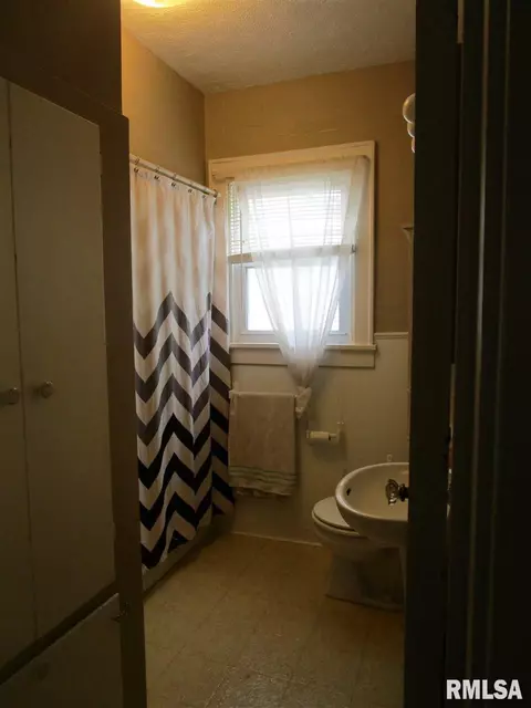 307 E Vine St, Canton, IL 61520 photo 18