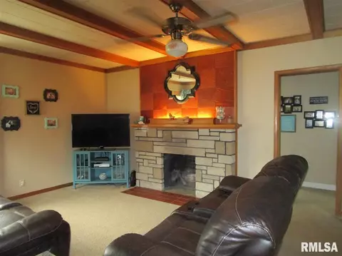 307 E Vine St, Canton, IL 61520 photo 4