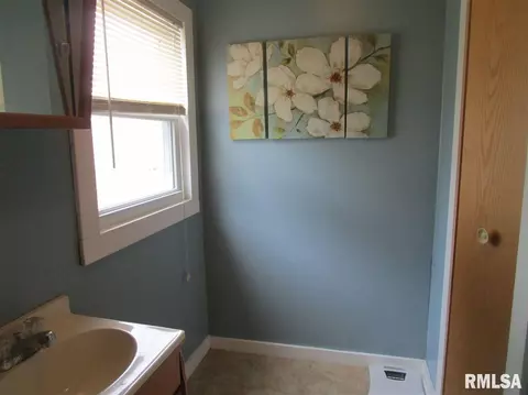 307 E Vine St, Canton, IL 61520 photo 27