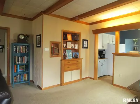 307 E Vine St, Canton, IL 61520 photo 14