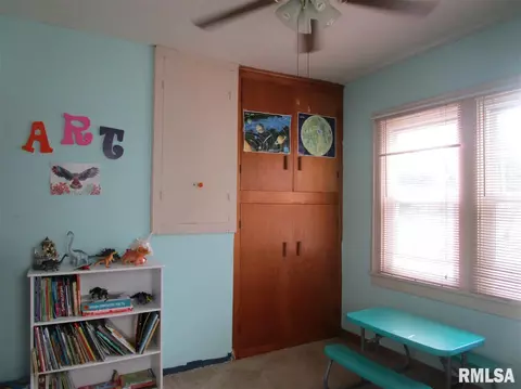 307 E Vine St, Canton, IL 61520 photo 16