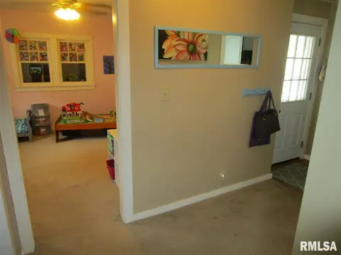 307 E Vine St, Canton, IL 61520 photo 22