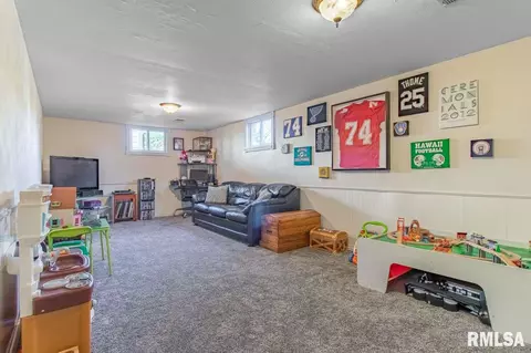1020 E Marshall St, Morton, IL 61550 photo 23