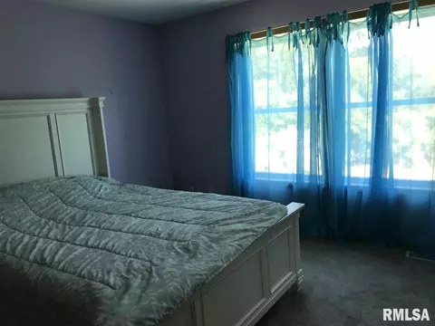 2 E Briarbrook Dr, Macomb, IL 61455 photo 16