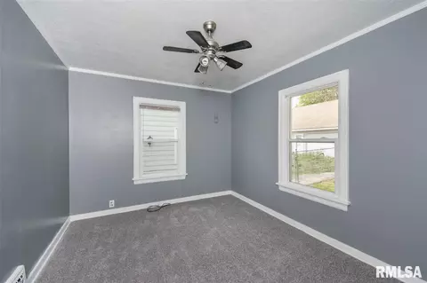 729 E Willcox Ave, Peoria, IL 61603 photo 15