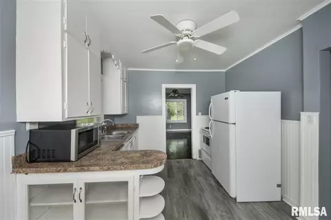 729 E Willcox Ave, Peoria, IL 61603 photo 9