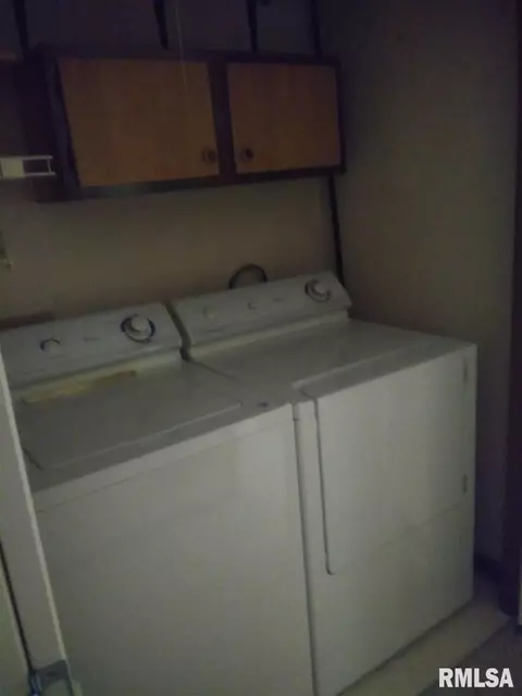 1250 E Sycamore St, Canton, IL 61520 photo 9