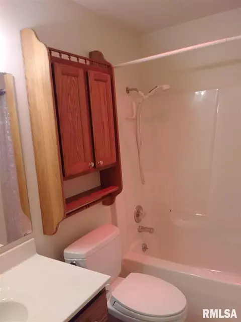 1250 E Sycamore St, Canton, IL 61520 photo 8
