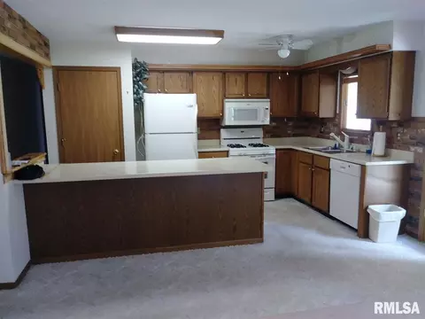 1250 E Sycamore St, Canton, IL 61520 photo 3