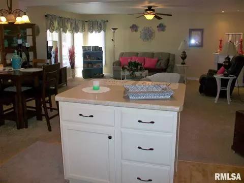 350 Iris Ct, Canton, IL 61520 photo 15