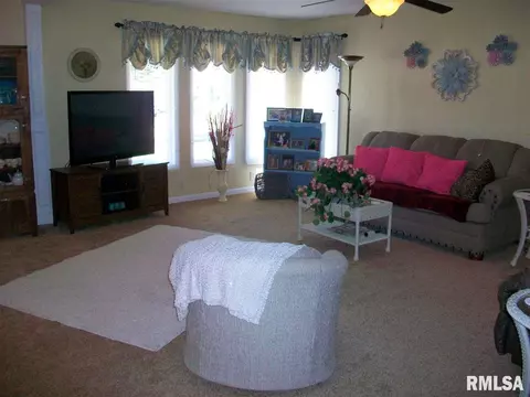 350 Iris Ct, Canton, IL 61520 photo 5