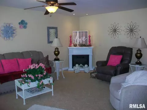 350 Iris Ct, Canton, IL 61520 photo 7