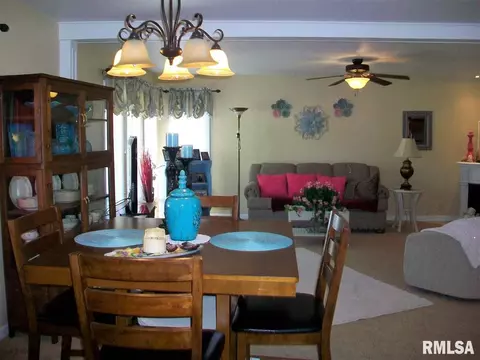 350 Iris Ct, Canton, IL 61520 photo 9