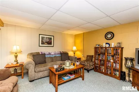 204 Pine Cir, Eureka, IL 61530 photo 23