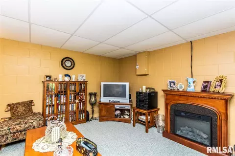 204 Pine Cir, Eureka, IL 61530 photo 22